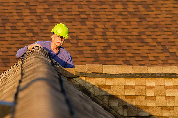Best Roof Leak Repair  in Geneva, IL